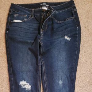 Dark Skinny Leg Jean - 12P (Time & True)